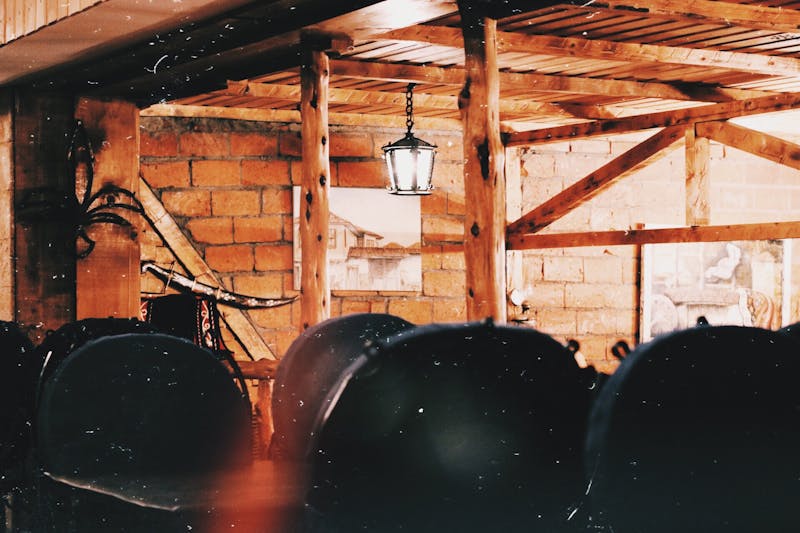 Davanni's team members working together in a welcoming kitchen environment